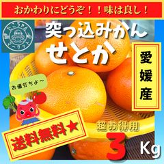 最終セール【小玉はとっても甘いよ☆突っ込みかん】愛媛県産　せとか　3kg Ｓ～3Lのサムネイル