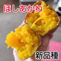 ほしあかね  5キロ さつまいも
