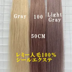 2025年最新】レミー人毛100％の人気アイテム - メルカリ