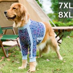 Item thumbnail for item ceb07f33-e637-4a81-ada5-71a9c12f205d