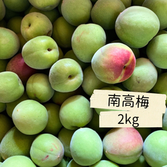 自然栽培　家庭用　青梅　南高梅　2㎏ほど