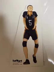 【セール!!実施中です!!】ハイキュー!! セカンドシーズンミニスタンディ―POP 田中龍之介