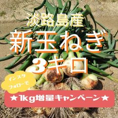 淡路島産　新玉ねぎ3ｋｇ