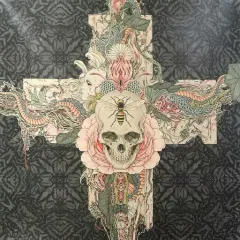 レア MUCC脈拍 CD DVD 2枚 Amazon.co.jp: 脈拍(通常盤): ミュージック