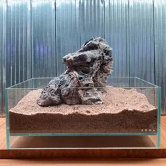 2025年最新】龍王石 親石の人気アイテム - メルカリ