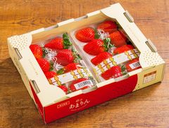 【彩のあまりん】 極上の完熟いちご　250g×2（１箱）　大特価 ¥4,520