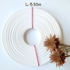 Item thumbnail for item fc256a44-d578-4b49-8666-bfa91d88b2f9