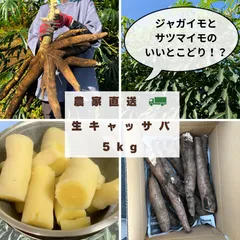 2025年最新】Cassavaの人気アイテム - メルカリ