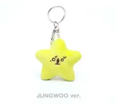 NCT ジョンウ(JUNG WOO) ヒトデ きいろ イエロー トレカ 含め