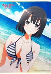 [중고] 태피스트리 카토 메구미 B2 태피스트리 [PS Vita 소프트 그리워하지 않는 그녀의 기르는 방법 -blessing flowers-] 소프 맵 구입 특전