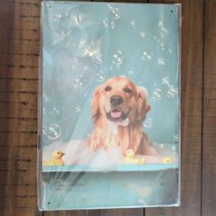 犬 ブリキ看板 ゴールデン d24