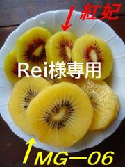 Rei‪様専用　幻のキウイ！　MGー０６　追熟前の果実3㎏＋α