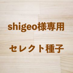 shigeo様専用　セレクト種子　4袋