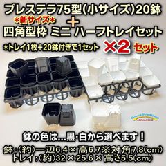 プレステラ75(硬質スリットポット2号相当)黒・白20鉢＋四角型ハーフ浅型トレイセット×2セット＊多肉植物・塊根植物コーデックス・アガベ・サボテン・盆栽・観葉・ハオルチア・アデニウム・パキポディウム・実生＠フラワーショップ江口