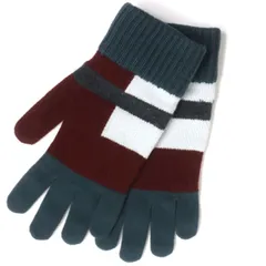 極美品▼HERMES エルメス VIPソルド POP TV ウール100% ニット 手袋/グローブ グリーン×ボルドー×ホワイト M メンズ イタリア製 箱付きのサムネイル