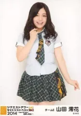 【中古】生写真(AKB48・SKE48) 山田澪花/膝上/「リクエストアワーセットリストベスト242 2014 ～1位は?最下位は?曲推し集合!～」会場限定生写真