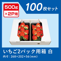 いちご ダンボール 500g×2パック 用 苺 ケース 段ボール 箱 梱包 出荷 白 100枚 業務用 ダンボール箱 仕切り フタ イチゴ 通販 ワン サイズ 野菜 果物 フリマ