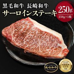 黒毛和牛 長崎和牛 サーロインステーキ 250g 牛肉