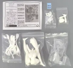 【中古】フィギュア モダニア 「勝利の女神：NIKKE」 ガレージキット ワンダーフェスティバル2024冬限定