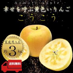 【希少品種】 青森県産 ＂ こうこう ＂ りんご【ご家庭用A品3kg】【送料無料】【産地直送】リンゴ 林檎