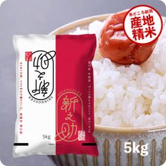 米 新之助5kg お米 令和5年産 白米