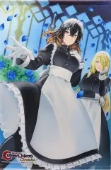 【中古】タペストリー ミリアム＆ドミニク 描き下ろしB2タペストリー 「PS4/Switchソフト Bloodstained：Curse of the Moon Chronicles 限定版」 WonderGOO購入特典