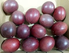 14②現物発送！小玉　沖縄産パッションフルーツ