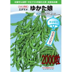 カネコ種苗 枝豆 ゆかた娘 2000粒
