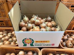 《残りわずか！》納豆菌栽培 淡路島産新玉ねぎ 19.8kg【兵庫県淡路島産】