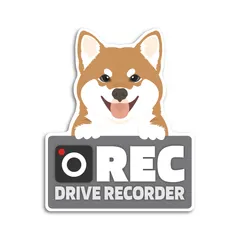 豆柴のドラレコ録画中ステッカーのサムネイル
