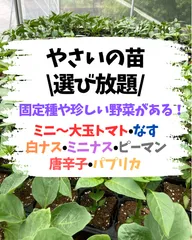 2025年最新】固定種 野菜苗の人気アイテム - メルカリ