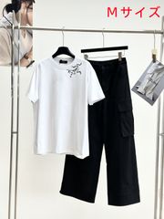 Arc'teryx アークテリクス 　コットン　半袖　Tシャツ　レディース　メンズ　男女兼用 M