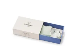 新品 ベビービョルン 【日本正規品付】 ベビーディナーセット パウダーグリーン 4点セット 専用ギフトボックス入り 出産祝い ギフト プレゼント 離乳食 ベビースプーン ベビースタイ お食事エプロン お食事セット ベビー食器セット 食器セット お食い初め Ba