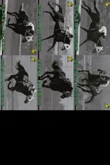 2025年最新】ハイセイコーの人気アイテム - メルカリ