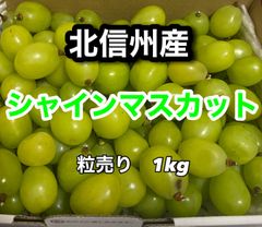 長野県産　訳あり　シャインマスカット　粒売り 1kg