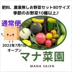 マナ菜園🥗農薬、化学肥料不使用。お野菜詰め合わせ80サイズ通常便🥗