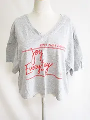 カスタネ Kastane 半袖 プリント Tシャツ カットソー グレー F