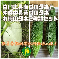 白い大長南瓜（かぼちゃ）のタネ5粒と沖縄中長苦瓜（ゴーヤ）のタネ10粒　無農薬・無科学肥料栽培のタネセット