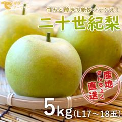 【鳥取県産】二十世紀梨　5kg(17～18個Lサイズ)
