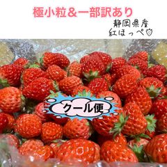 【クール便】極小粒＆訳あり 紅ほっぺ いちご 〜農家直送〜