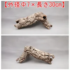 2025年最新】コルク樹皮 キャノンの人気アイテム - メルカリ