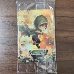 ロビン・フッド - シャーウッドの英雄 【E】 [221/204 JA-3