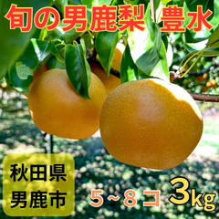 男鹿梨「豊水」3kg  家庭用　大将梨園　秋田県男鹿市産