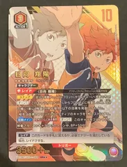 お歳暮 のし パラレル SR 日向翔陽 ハイキューユニオンアリーナ