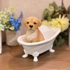 置物 ポリレジン製 犬 猫 バスタブ ガーデニング QY13 14 15 16 - メルカリ