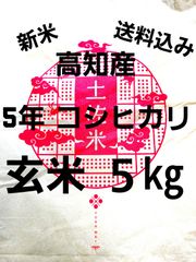 送料込み 令和5年産 高知県産 新米コシヒカリ 玄米5㎏(袋込み)