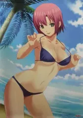 【中古】ポスター（アニメ） [単品] B2ポスター Rio(水着) 「PS2ソフト 楽勝! パチスロ宣言5 リオパラダイス 予約購入特典 ポスターセット」
