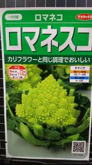 ロマネスコ ロマネコ 種 ３袋セット