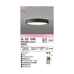 ODELIC シーリングライト OL251 727R 本体 - メルカリ