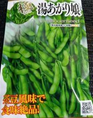 未開封＜野菜の種＞エダマメ　湯あがり娘　25ｍｌ　枝豆の種